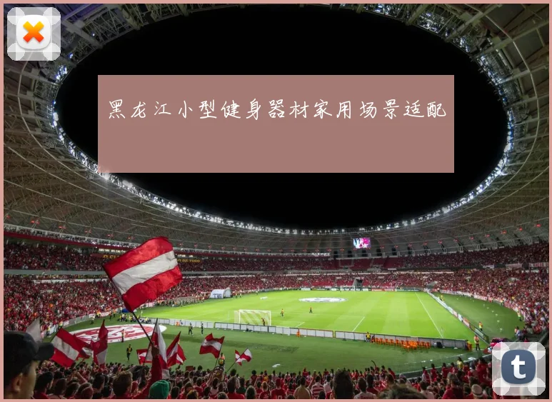 黑龙江小型健身器材家用场景适配