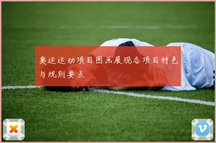 奥运运动项目图画展现各项目特色与规则要点